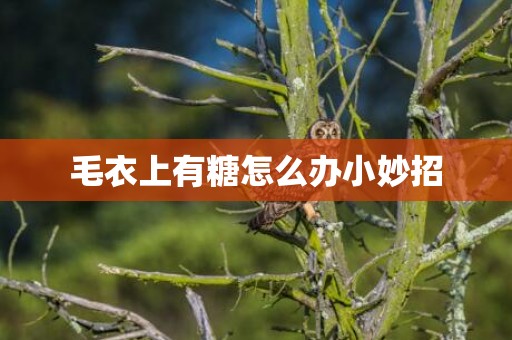 毛衣上有糖怎么办小妙招