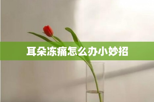 耳朵冻痛怎么办小妙招