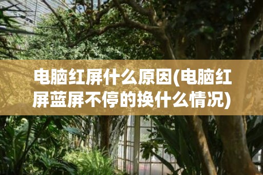 电脑红屏什么原因(电脑红屏蓝屏不停的换什么情况)