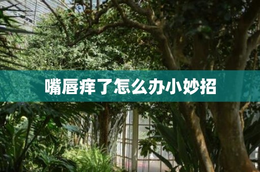 嘴唇痒了怎么办小妙招