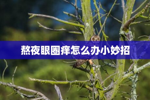 熬夜眼圈痒怎么办小妙招