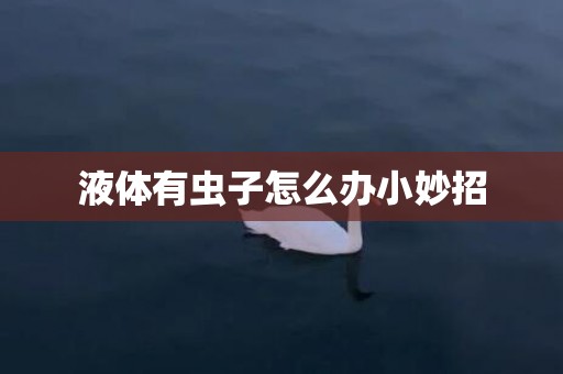 液体有虫子怎么办小妙招
