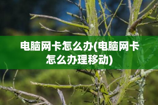 电脑网卡怎么办(电脑网卡怎么办理移动)