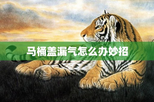 马桶盖漏气怎么办妙招