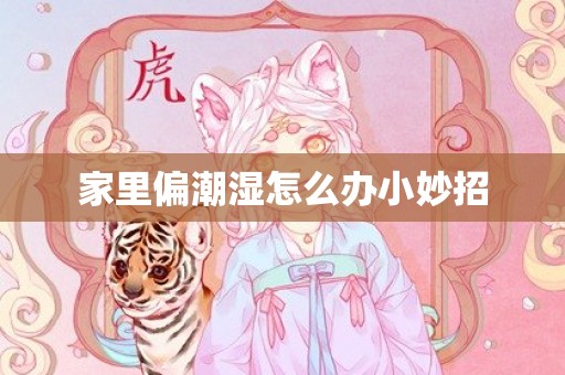 家里偏潮湿怎么办小妙招