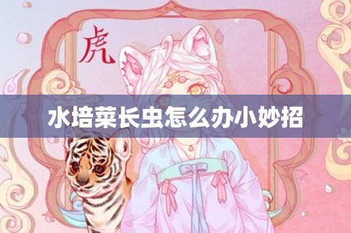 水培菜长虫怎么办小妙招