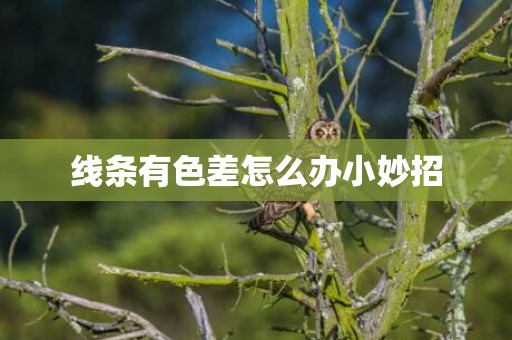 线条有色差怎么办小妙招