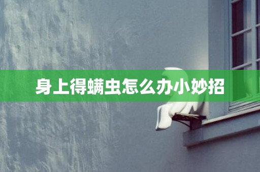 身上得螨虫怎么办小妙招