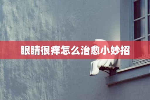 眼睛很痒怎么治愈小妙招