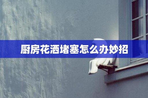 厨房花洒堵塞怎么办妙招