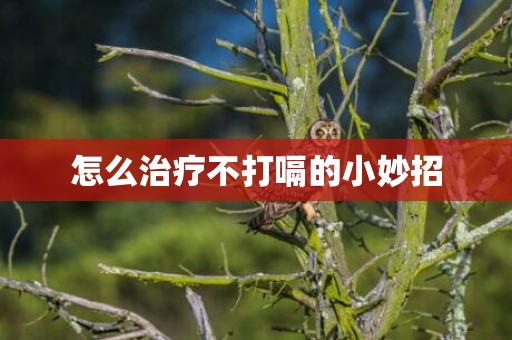 怎么治疗不打嗝的小妙招