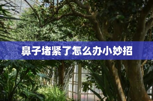 鼻子堵紧了怎么办小妙招