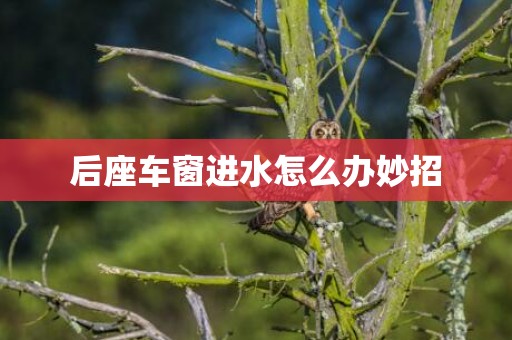 后座车窗进水怎么办妙招