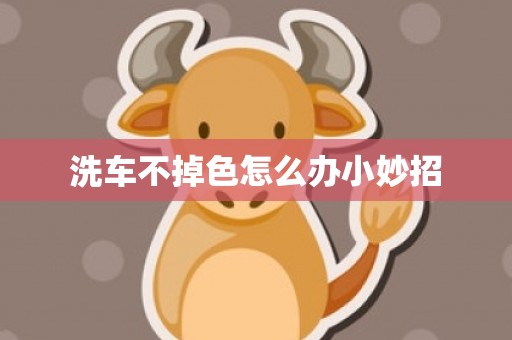 洗车不掉色怎么办小妙招