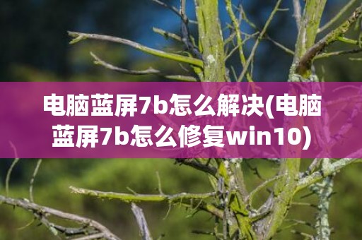 电脑蓝屏7b怎么解决(电脑蓝屏7b怎么修复win10)