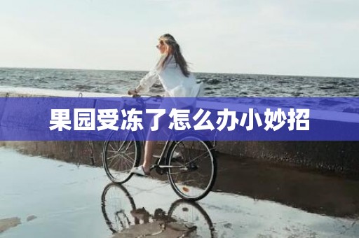 果园受冻了怎么办小妙招