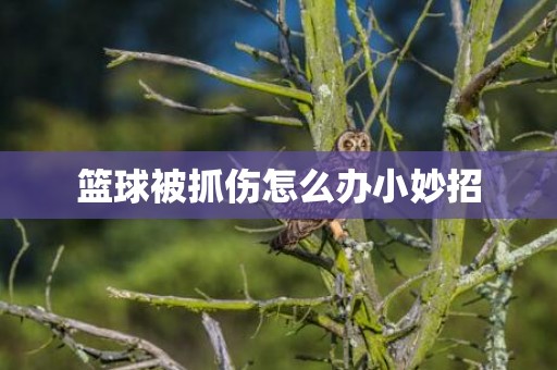篮球被抓伤怎么办小妙招