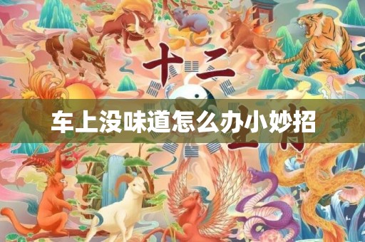 车上没味道怎么办小妙招