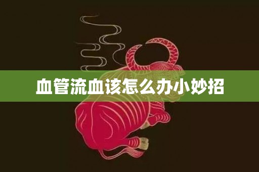 血管流血该怎么办小妙招