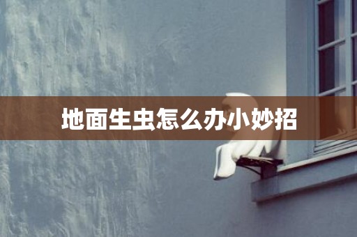 地面生虫怎么办小妙招