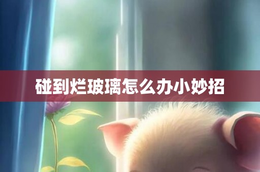 碰到烂玻璃怎么办小妙招