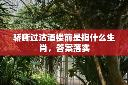 骄嘶过沽酒楼前是指什么生肖，答案落实
