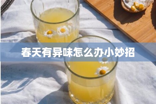春天有异味怎么办小妙招