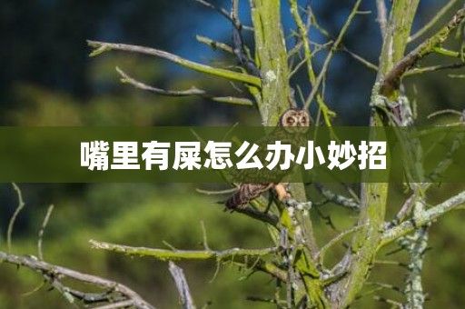 嘴里有屎怎么办小妙招