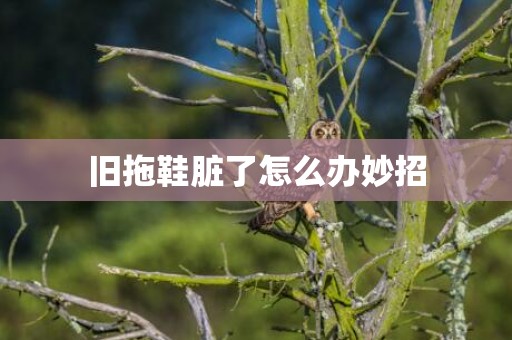 旧拖鞋脏了怎么办妙招