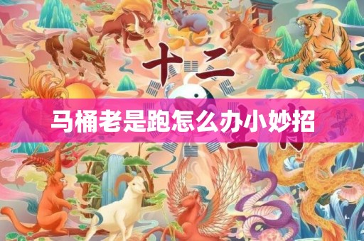 马桶老是跑怎么办小妙招