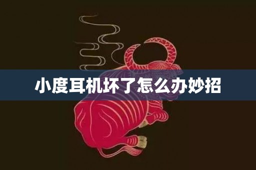 小度耳机坏了怎么办妙招