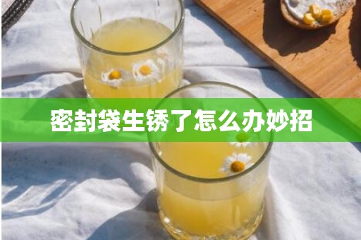 密封袋生锈了怎么办妙招
