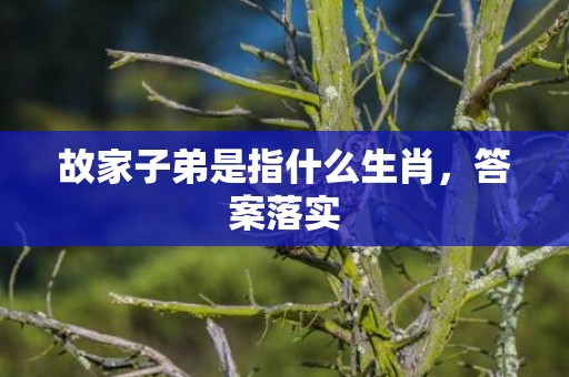 故家子弟是指什么生肖，答案落实