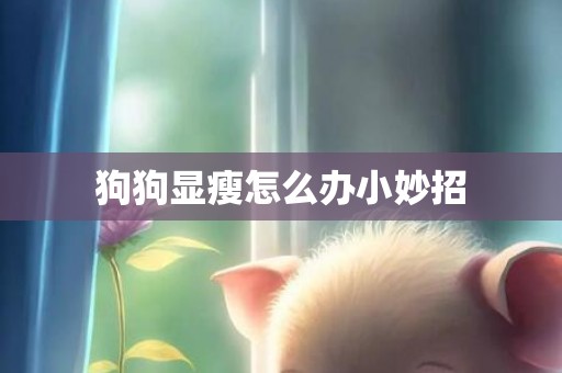 狗狗显瘦怎么办小妙招