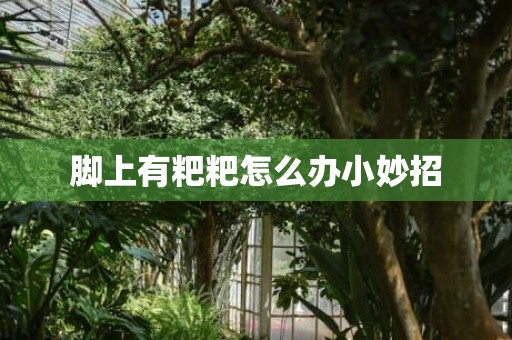 脚上有粑粑怎么办小妙招