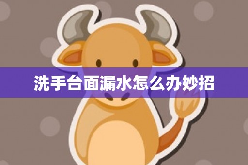 洗手台面漏水怎么办妙招