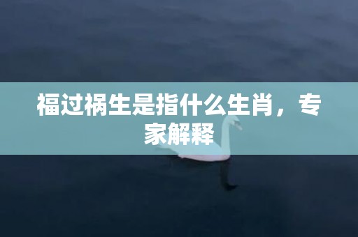福过祸生是指什么生肖，专家解释