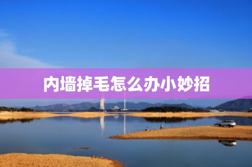 内墙掉毛怎么办小妙招