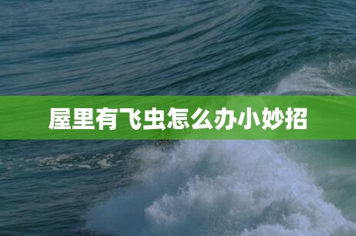 屋里有飞虫怎么办小妙招