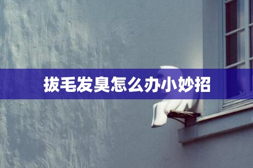 拔毛发臭怎么办小妙招