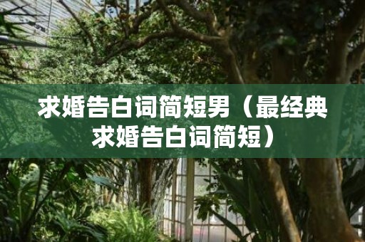 求婚告白词简短男（最经典求婚告白词简短）