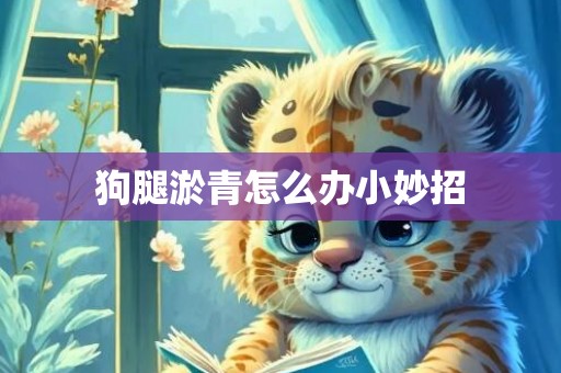 狗腿淤青怎么办小妙招