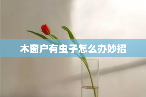 木窗户有虫子怎么办妙招