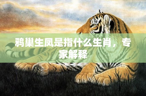 鸦巢生凤是指什么生肖，专家解释