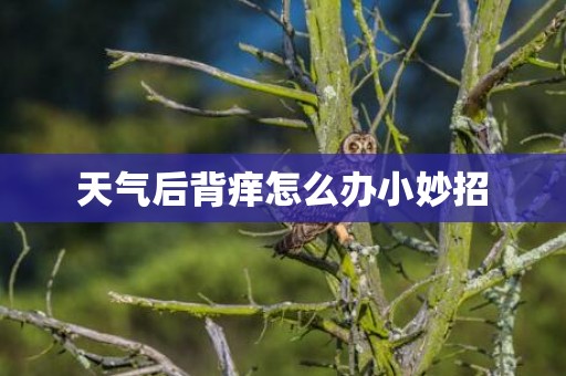 天气后背痒怎么办小妙招