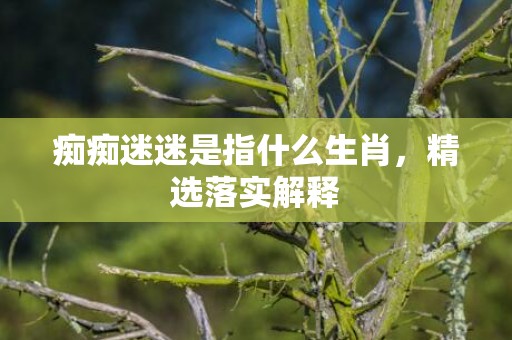 痴痴迷迷是指什么生肖，精选落实解释