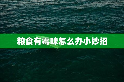 粮食有霉味怎么办小妙招
