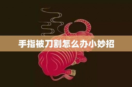 手指被刀割怎么办小妙招