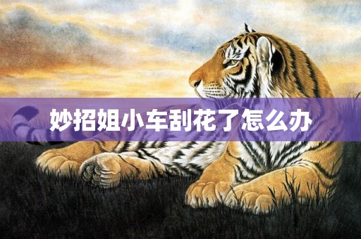 妙招姐小车刮花了怎么办