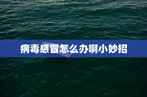 病毒感冒怎么办啊小妙招